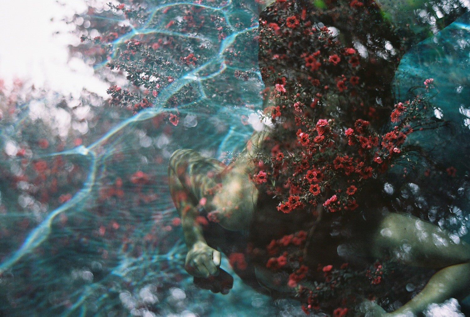 Swimming in the flowers I