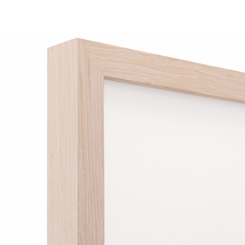 Impermanence - Humpback Whales