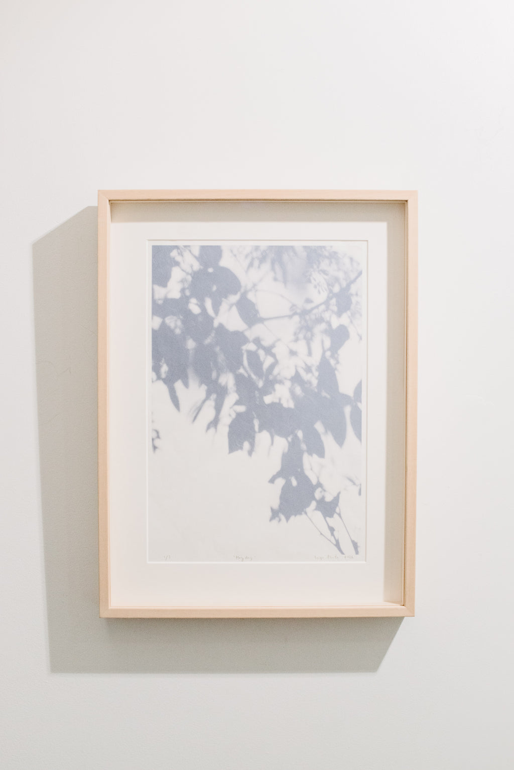 Limited edition giclée prints
