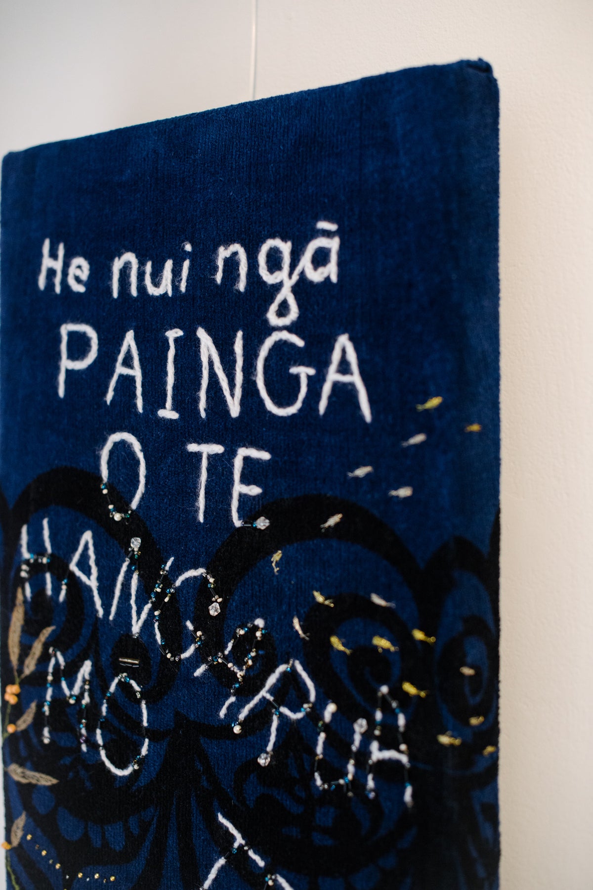 HE NUI NGĀ PAINGA O TE HANGARUA MŌ TE TAIAO
