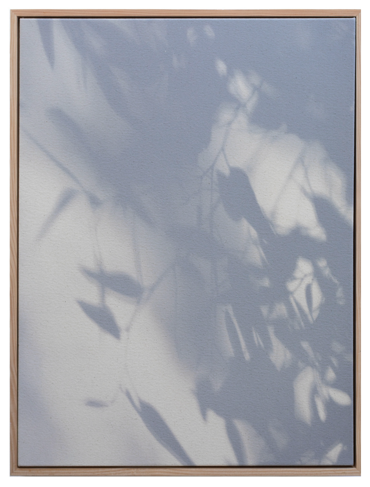 Chasing Impermanence II