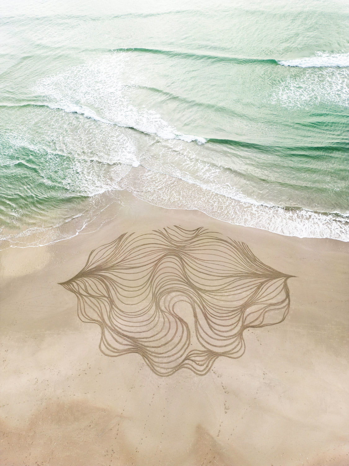 Impermanence - Convering Lines