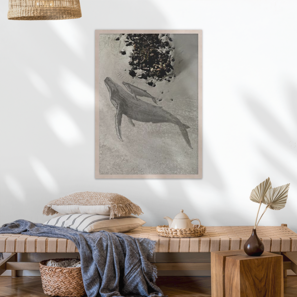 Impermanence - Humpback Whales