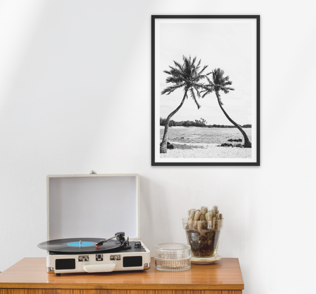 Palm IV