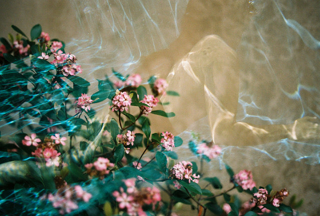 Swimming in the flowers III