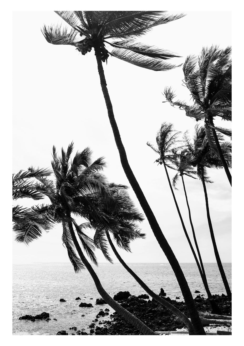 I Wanna Live by the Sea - Big Island