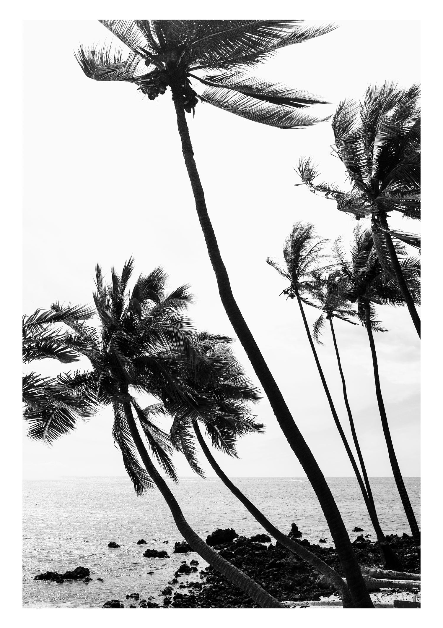 I Wanna Live by the Sea - Big Island