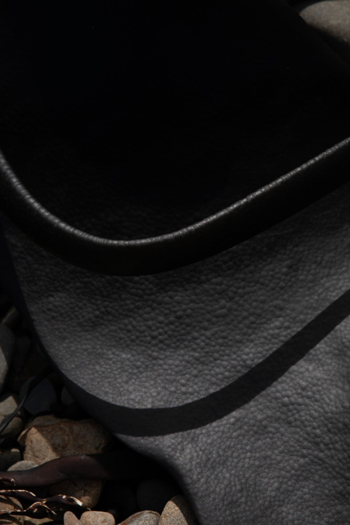 Black Kelp Kaikōura / Pōneke - 2024