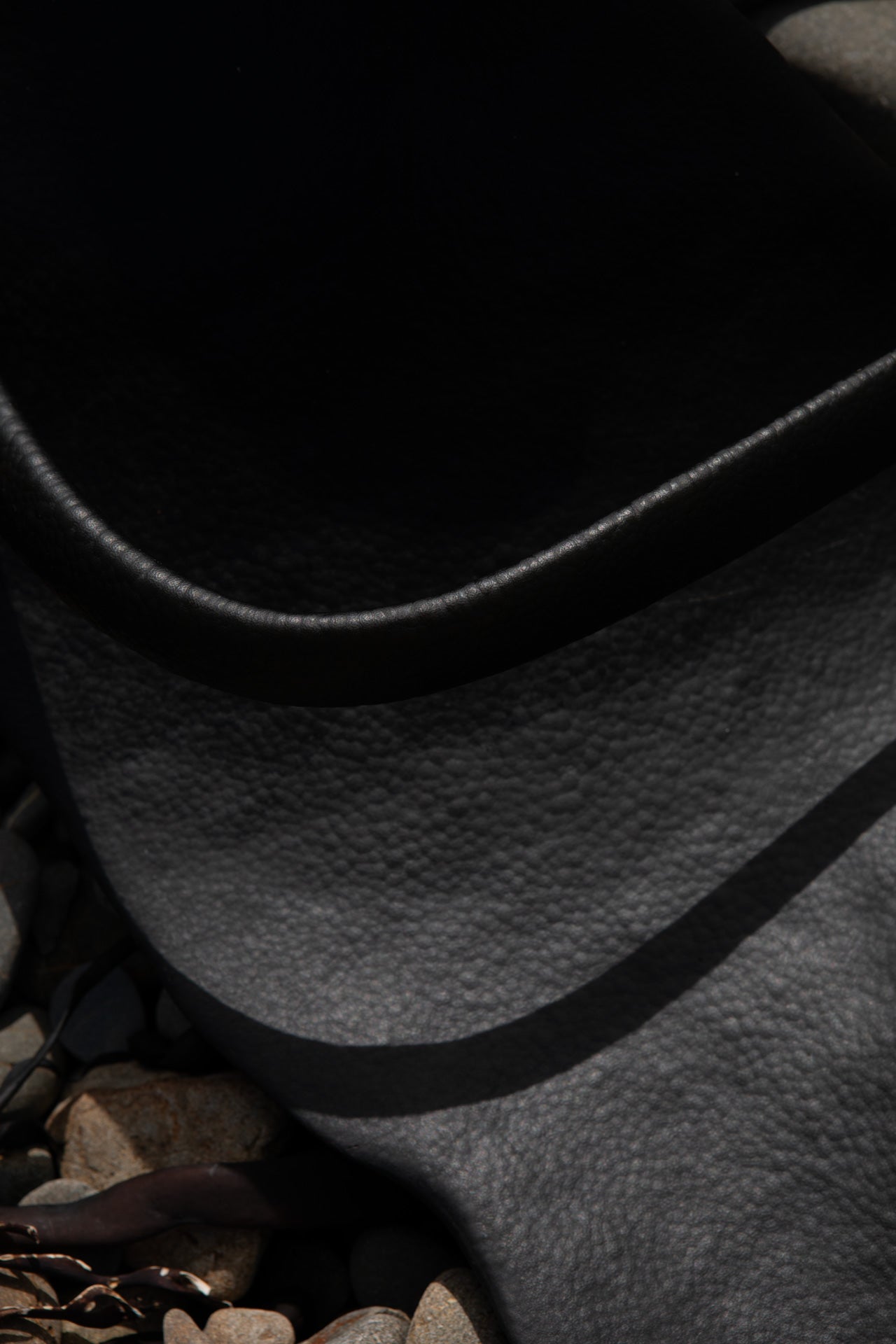 Black Kelp Kaikōura / Pōneke - 2024