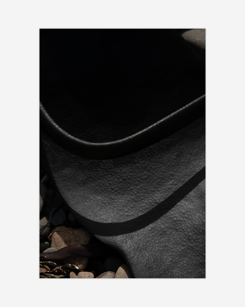 Black Kelp Kaikōura / Pōneke - 2024