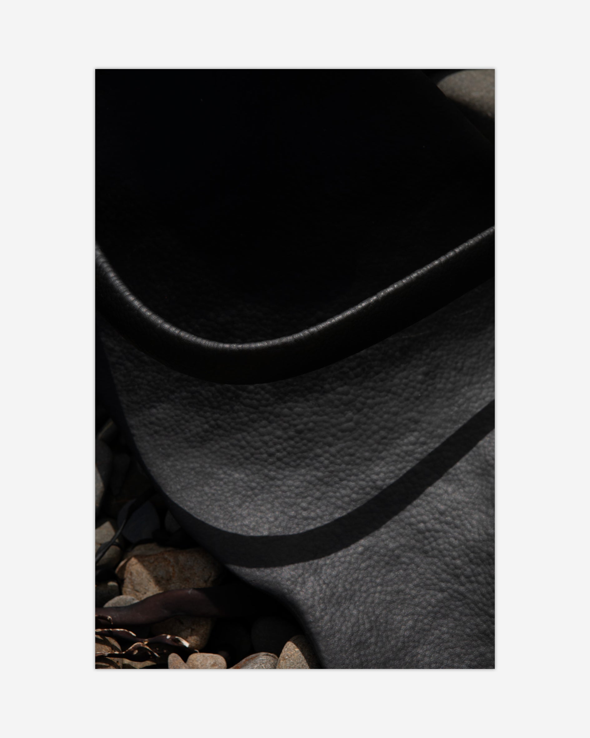 Black Kelp Kaikōura / Pōneke - 2024
