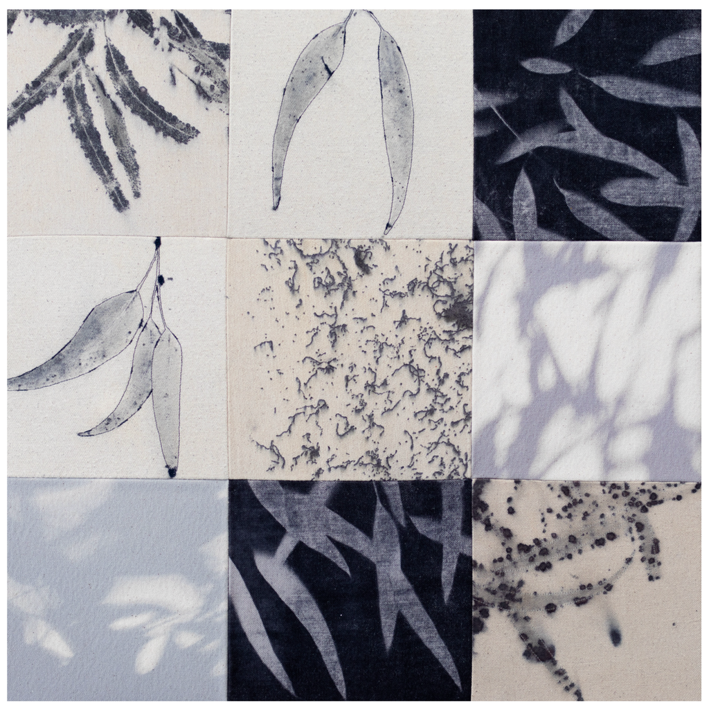 What light remembers